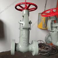 DIN   WCB GATE VALVE DN80 PN160