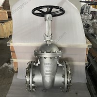 PN10  904L gate valve RF DN300