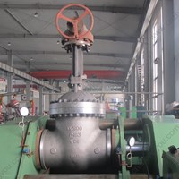 ASTM A217 WC6  gate valve DN600 PN63