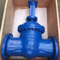 GOST  manual 20ГЛ body gate valve DN500 PN40