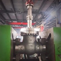 CF8C extended stem flanged gate valve 16'' 900LB