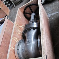 ASTM A351 CF8 gate valve 10'' 900LB