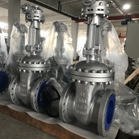 LCB gate valve 12'' 300LB