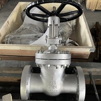 ASTM A351  CF8M   gate valve 6'' 600LB