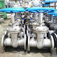 ASTM A351 CF3M gate valve DN100 PN16