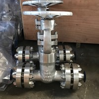 CF8C  pressure seal bonnet gate valve 2'' CLASS900