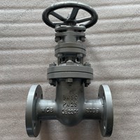 WCB Non-rising stem  gate valve DN50 PN25