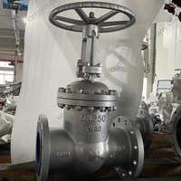 DIN  1.0619 WCB gate valve DN250 PN40