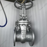 1.0619 gate valve DN100 PN16