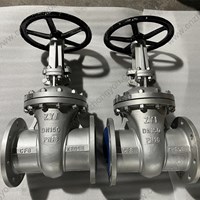 DIN CF8 gate valve DN150 PN16