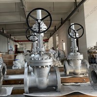 ASTM A351 CF8 gate valve DN250 PN100