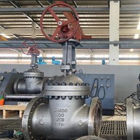 API600 WCB gate valve DN400 PN100