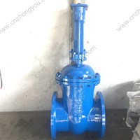 20ГЛ  Bare stem gate valve DN400 PN16