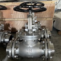 ASTM A351 CF8M globe valve 6'' 150LB