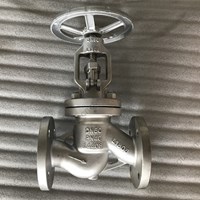 1.4408 globe valve DN50 PN40