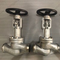 904L Extended Stem globe valve DN100 PN25