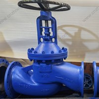 WCB Bellows seal  globe valve DN350 PN16