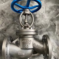 2205 globe valve DN100 PN40