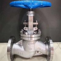 CF8 globe valve DN80 PN16