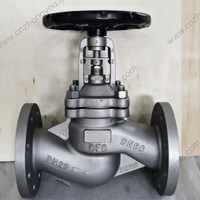 CF8 Bellows seal  globe valve DN80 PN25