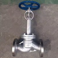 CF8 Extended Stem globe valve DN50 PN40