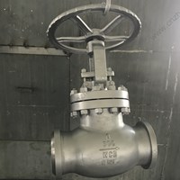 ASTM A216 WCB globe valve 6'' 300LB