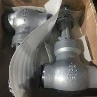 WCB PSB globe valve 8'' 900LB