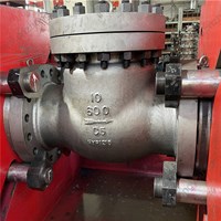 C5 swing check valve  10'' 600LB