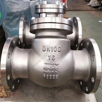 2205 swing check valve DN100 PN16