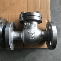 Duplex 5A Swing Check Valve DN40 PN63