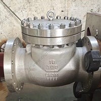 CF3M Swing Check Valve 10'' 300LB