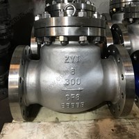 ASTM A351 CF8 Swing Check Valve 6'' 300LB