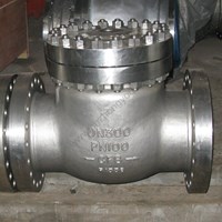 CF8 Swing Check Valve DN300 PN100