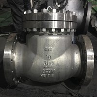 ASTM A351 CF8M Swing Check Valve 10'' 300LB