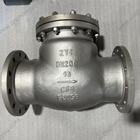 CF8 Swing Check Valve DN200 PN16