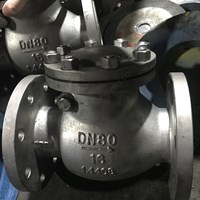 1.4408 Swing Check Valve DN80 PN16