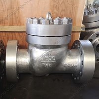 5A Swing Check Valve 6'' 1500LB