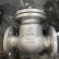 SCS13 Swing Check Valve 2.5'' 10K