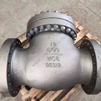 WC6  swing check valve  12'' 600LB