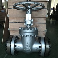 Gate Valve with counter flange gaskets  fasteners  WCB 8'' 600LB