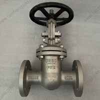 904L DIN gate valve  DN50 PN10