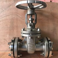 DIN body material CF8C gate valve DN50 PN25