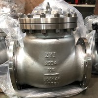 SCS14A Swing Check Valve 200A 10K