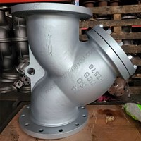 ASTM A216 WCB Y  strainer 14'' 150LB