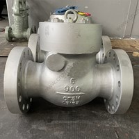 ASTM A351 CF3M Swing Check Valve 6'' 900LB