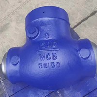 WCB Tilting Disc check valve  8'' 1500LB