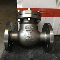 TA2 Swing Check Valve DN50 PN16