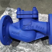 GS-C25 Lift check valve  DN80 PN25