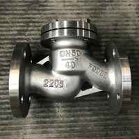 2205 Lift Check Valve DN50 PN40