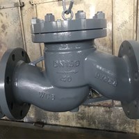 WCB  Lift check valve  DN50 PN40